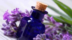 Positive Effects of Lavender Scent to Oral Health